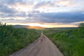 길거리 경관 네이처 들판 구름