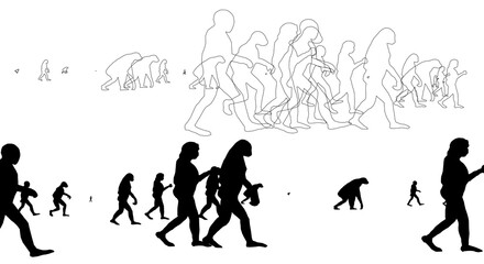 ewolucja, człowiek, sylwetka, dna © Marek