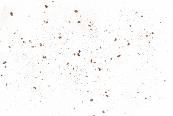 Pieces and dust of tree bark with sand flying, isolated on white background and texture, clipping path	