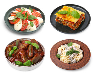Seasoned taste. Collection of dishes with added basil on white background