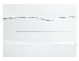 Blank white paper with torn edges and two horizontal lines