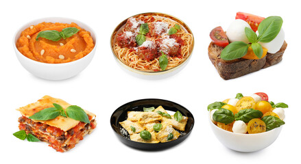 Seasoned taste. Collection of dishes with added basil on white background