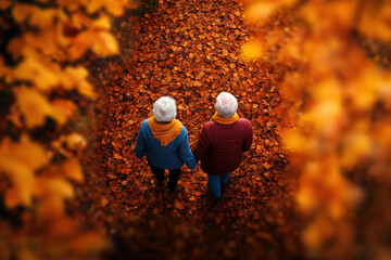 Senior couple walking along a path covered with vibrant orange and brown autumn leaves, holding hands, representing enduring love, togetherness, and vitality during retirement years
