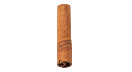 Isolated cinnamon stick, aromatic spice from the inner bark, used as flavoring agent