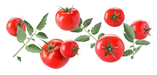 Fresh ripe tomatoes and green leaves flying in air against white background
