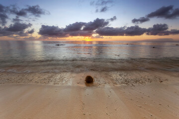 Fiji sea coconut to east