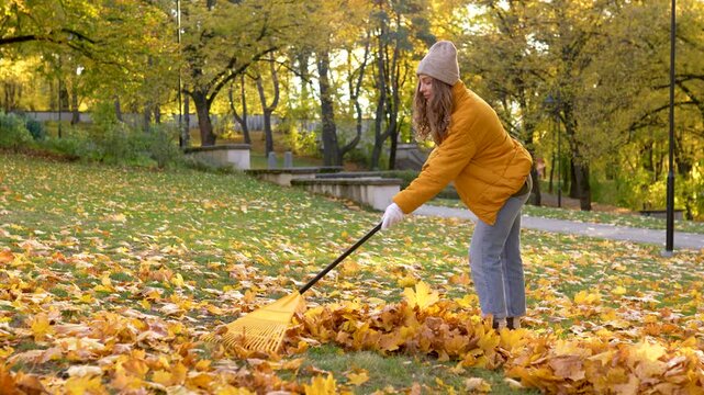 A young woman rakes vibrant orange and yellow leaves in a park surrounded by tall trees. The bright colors of fall create a picturesque scene as she tidies the ground. 
