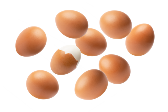 eggs isolated on transparent background - Powered by Adobe