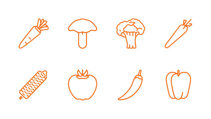 Collection of Fresh Vegetables Including Carrot Mushroom Broccoli Tomato Chili Corn and Bell Pepper