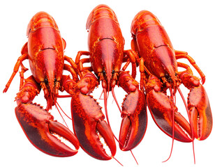 Three vibrant red lobsters arranged closely together, showcasing their detailed claws and bodies