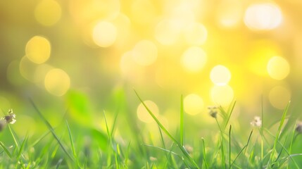 Obraz premium Vibrant green grass foregrounded against a backdrop of soft, golden sunlight bokeh, creating a serene and springtime mood.