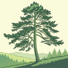 Obraz premium trees in the forest