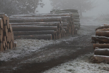 On a foggy winter day, a substantial pile of logs is blanketed in snow, creating a serene and atmospheric scene that captivates the eye
