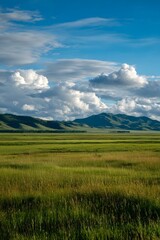Fototapeta premium Lush green grass, rolling hills, blue sky, white clouds, sunlight.