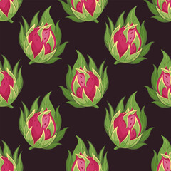 Seamless pattern with dragon fruit. Pitaya seamless pattern. Tropical fruit background.