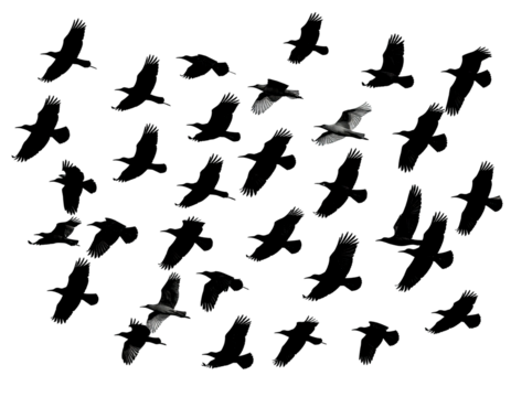 Abstract image of scattered, light-gray forms against a deep black background.  Sparse, speckled, faint, and fragmented shapes create a sense of depth and vastness