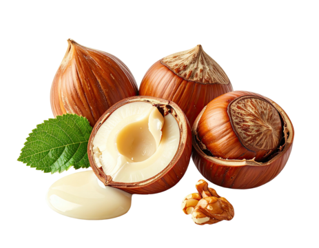 Close-up of three hazelnuts, one halved, with a leaf and some creamy liquid.  A walnut is visible in the bottom right corner