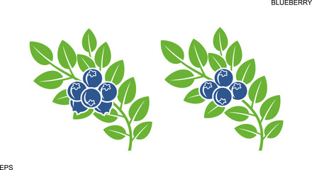 Blueberry bush. Isolated blueberry on white background