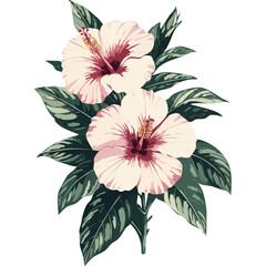 Hand Drawn Hibiscus Flowers Vector Illustration – Botanical Line Art