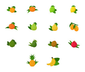 Flat design of citrus fruits. Vector illustrations on white background. Icons. Set of fruits.	