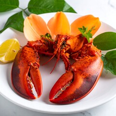 Lobster dish on white plate