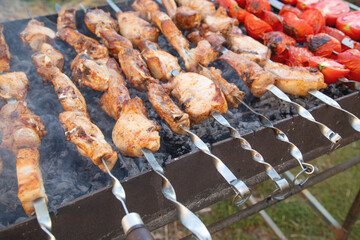 Barbecue with meat grilling on a fire.