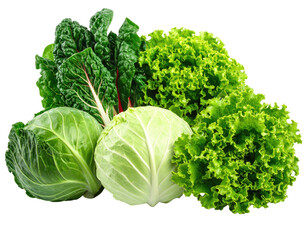 Fresh, vibrant green leafy vegetables, including chard, lettuce, and cabbages