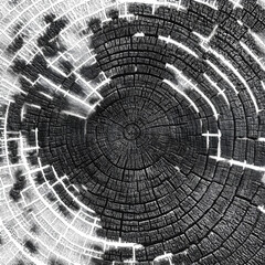 abstract background of circles