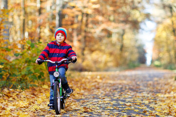 Naklejka premium Little kid boy in colorful warm clothes in autumn forest park driving a bicycle