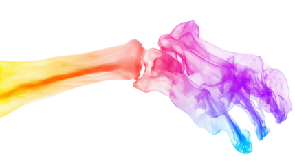 Colorful Bone Structure Abstract isolated on a transparent background