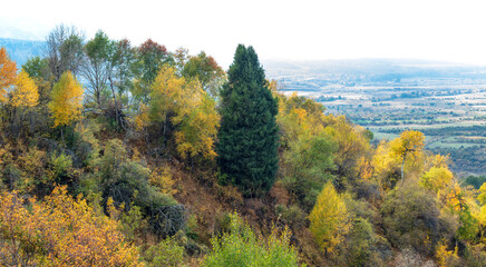 Obraz premium autumn landscape in the mountains