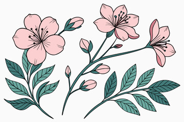 seamless floral pattern