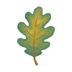 Obraz premium PNG Colorful textured oak leaf illustration.