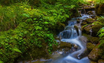 small mountain brook rushing through canyon over a stones