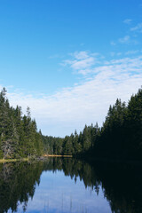 Landscape of the Totenåsen Hills Coniferous Forest Reserve, from the Fugletjernet Lake, September 2025.