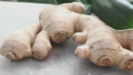 Fresh ginger on wooden background. Dry ginger. Sliced ginger with honey and lemon. Ginger root. Traditional alternative medicine, healing tea for immunity. Seasoning and spices concept. Copy space.