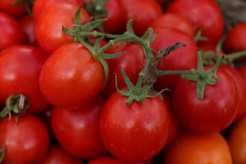 Close-up of fresh red cherry tomatoes with green stems  Ripe garden harvest cherry tomatoes showing natural texture and vibrant color 