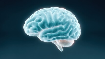 A brain is shown in a blue and red color