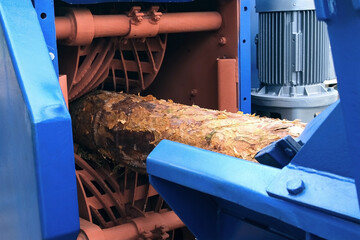 Wood debarking machine removing bark from raw log on woodworking factory. Part of conveyor line in timber manufacturing. Engineering technology in wooden production. Modern equipment on sawmill plant. © familylifestyle