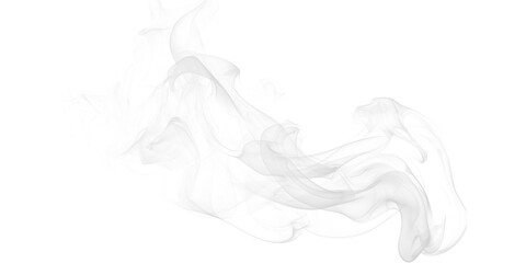 Ethereal wisps of smoke dance in the darkness like a forgotten dream taking shape in a void created with fine details