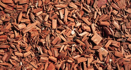 Fotobehang Koraal Close-up texture of brown wood chips mulch, ideal as natural background for gardening, landscaping, and organic material concepts.  © Romeo Nemeth