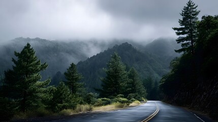 A winding asphalt road leads through a dense misty pine forest towards fog shrouded mountains