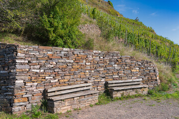 Moselregion - Deutschlands ältestes Weinbaugebiet und das größte Steillagenweinbaugebiet der Welt