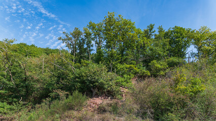 Moselregion - Deutschlands &auml;ltestes Weinbaugebiet und das gr&ouml;&szlig;te Steillagenweinbaugebiet der Welt