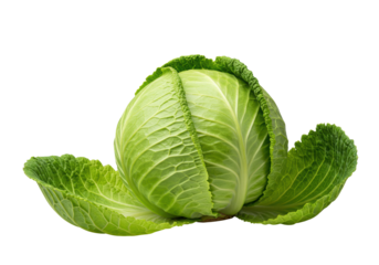Pristine vibrant green cabbage with light core and crinkled dark leaves, one crisp detached leaf, isolated on clean transparent studio background, perfectly lit, high-end commercial concept