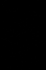 Fototapeta premium bird flying silhouette isolated on white background