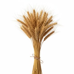 Fototapeta premium Golden sheaf of ripe wheat tied with rustic twine, displayed against a pristine white background, evokes images of harvest, agriculture and natural beauty .