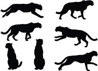Black silhouette collection of wild cheetah poses, running cheetah, sitting cheetah, walking cheetah, jumping cheetah, fast animal illustration vector design