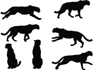 Cheetah silhouette vector collection, wild animal poses, running cheetah design, big cat illustration, predator artwork, wildlife graphic, jungle feline