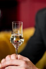 Close-up of hands holding a stemmed glass with clear alcohol in a cozy indoor setting. Elegant drink presentation, warm background, lifestyle and hospitality concept.